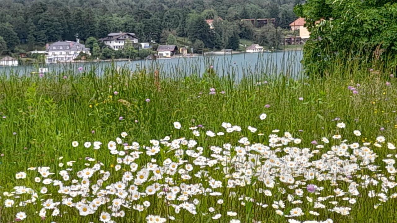 Glanz Und Gloria Velden! Woerthersee In 5 Min Zu Fuss Erreichbar! Velden am Wörthersee Εξωτερικό φωτογραφία